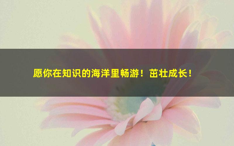 [百度云网盘][芝麻学社]ahashool国宝有意思-用小文物窥探大历史